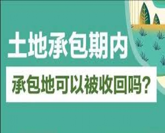 土地承包期内发包人可以收回承包的土地吗？